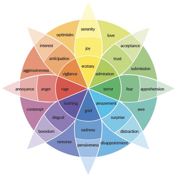 Emotion Detectives